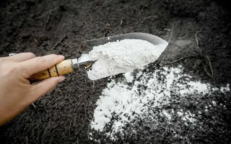 نقش آهک در تنظیم pH خاک
